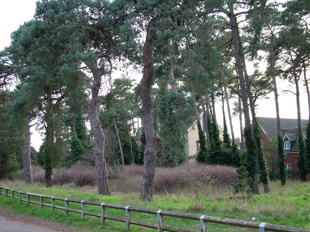 Thistle Cottage Mildenhall Kültér fotó